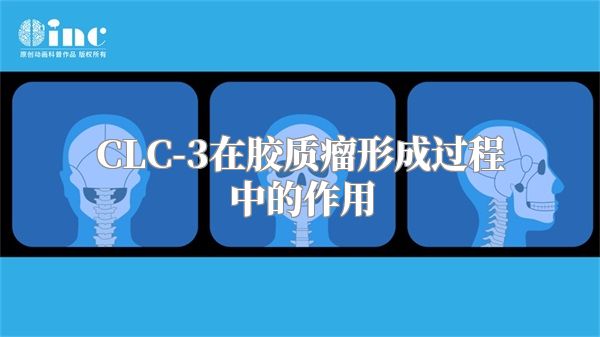 CLC-3在胶质瘤形成过程中的作用