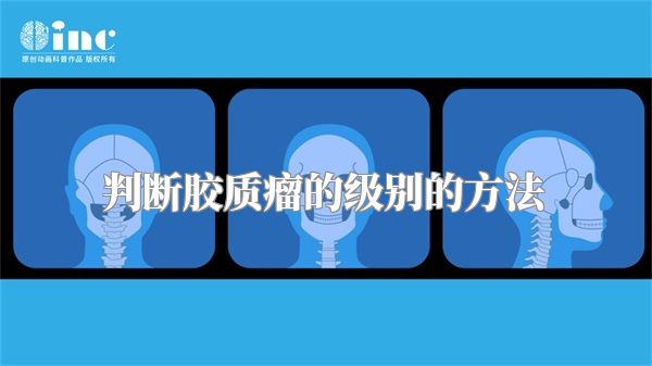 判断胶质瘤的级别的方法