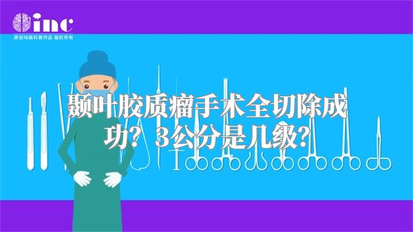 颞叶胶质瘤手术全切除成功？3公分是几级？