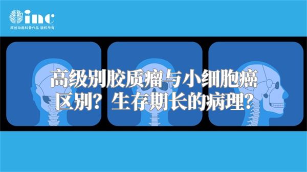 高级别胶质瘤与小细胞癌区别？生存期长的病理？