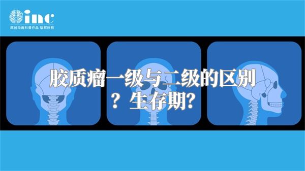 胶质瘤一级与二级的区别？生存期？