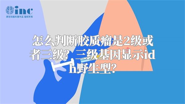 怎么判断胶质瘤是2级或者三级？三级基因显示idh野生型？