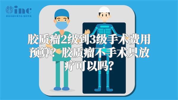 胶质瘤2级到3级手术费用预算？胶质瘤不手术只放疗可以吗？