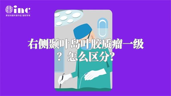 右侧颞叶岛叶胶质瘤一级？怎么区分？