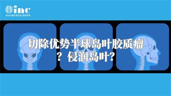 切除优势半球岛叶胶质瘤？侵润岛叶？