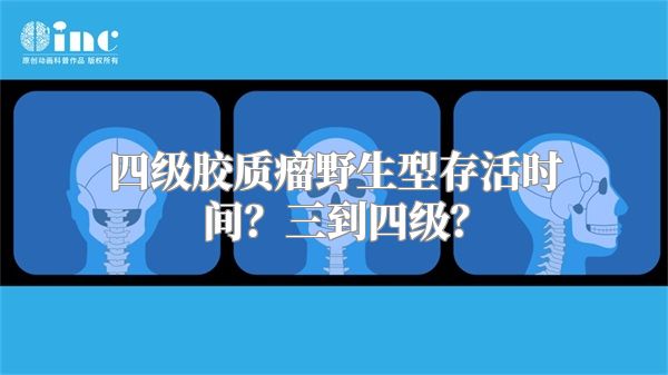 四级胶质瘤野生型存活时间？三到四级？