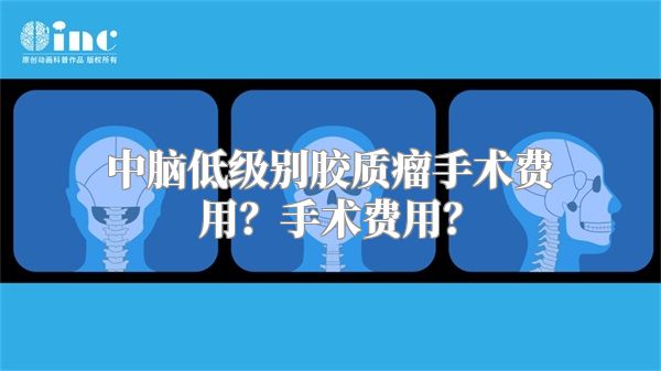 中脑低级别胶质瘤手术费用？手术费用？