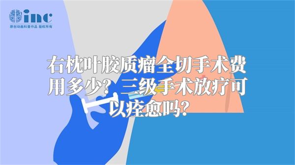 右枕叶胶质瘤全切手术费用多少？三级手术放疗可以痊愈吗？