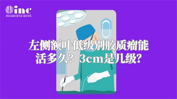 左侧额叶低级别胶质瘤能活多久？3cm是几级？