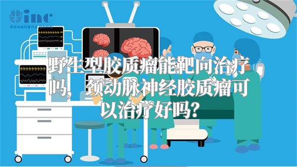 野生型胶质瘤能靶向治疗吗，颈动脉神经胶质瘤可以治疗好吗？