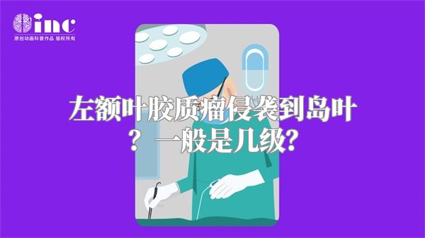 左额叶胶质瘤侵袭到岛叶？一般是几级？