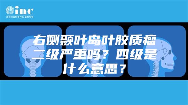 右侧颞叶岛叶胶质瘤二级严重吗？四级是什么意思？