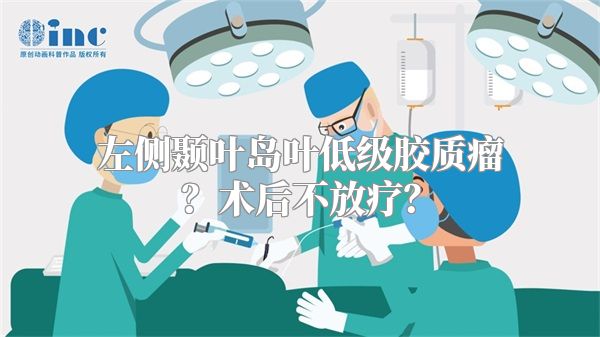 左侧颞叶岛叶低级胶质瘤？术后不放疗？