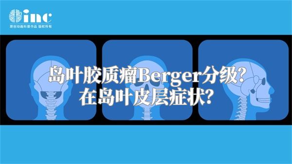 岛叶胶质瘤Berger分级？在岛叶皮层症状？