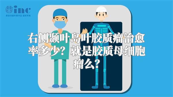 右侧颞叶岛叶胶质瘤治愈率多少？就是胶质母细胞瘤么？