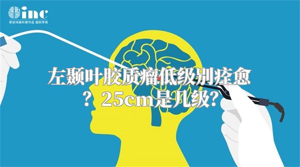 左颞叶胶质瘤低级别痊愈？25cm是几级？