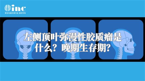 左侧顶叶弥漫性胶质瘤是什么？晚期生存期？