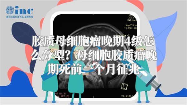 胶质母细胞瘤晚期4级怎么分型？母细胞胶质瘤晚期死前一个月征兆