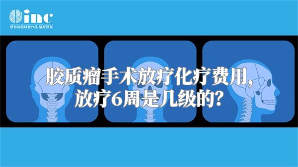 胶质瘤手术放疗化疗费用，放疗6周是几级的？