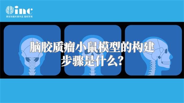 脑胶质瘤小鼠模型的构建步骤是什么？