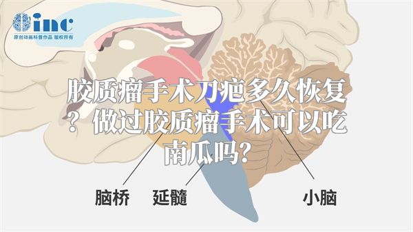 胶质瘤手术刀疤多久恢复？做过胶质瘤手术可以吃南瓜吗？