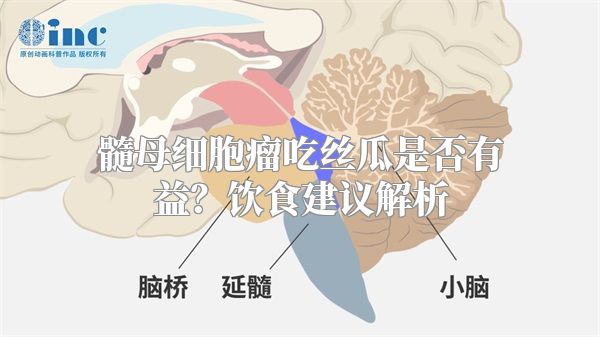 髓母细胞瘤吃丝瓜是否有益？饮食建议解析