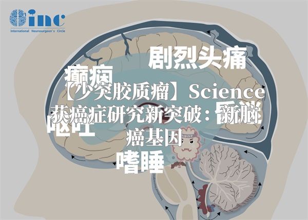 【少突胶质瘤】Science获癌症研究新突破：新脑癌基因