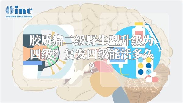 胶质瘤二级野生型升级为四级？复发四级能活多久？