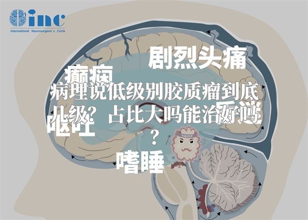 病理说低级别胶质瘤到底几级？占比大吗能治好吗？