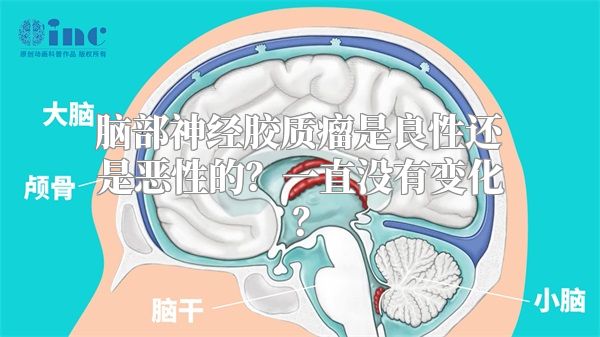 脑部神经胶质瘤是良性还是恶性的？一直没有变化？