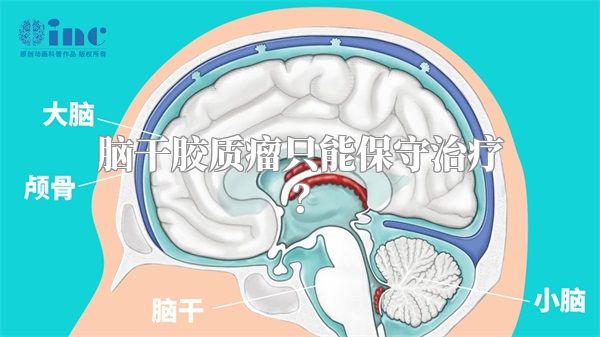 脑干胶质瘤只能保守治疗？