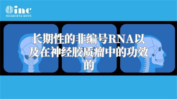 长期性的非编号RNA以及在神经胶质瘤中的功效的