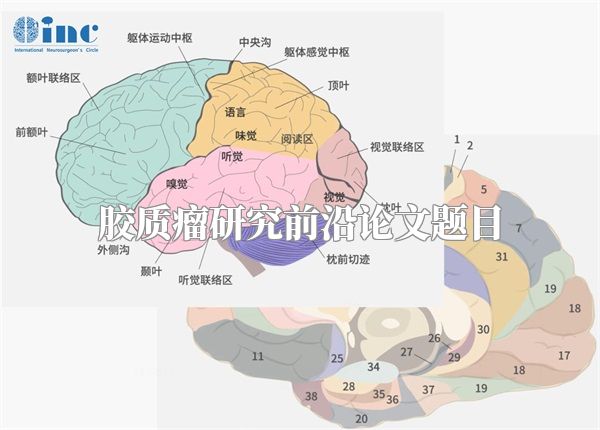 胶质瘤研究前沿论文题目