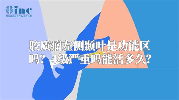 胶质瘤左侧颞叶是功能区吗？4级严重吗能活多久？