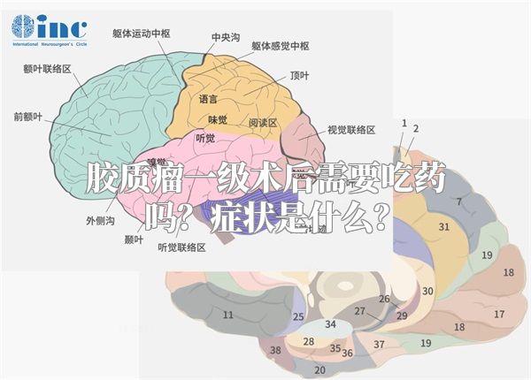 胶质瘤一级术后需要吃药吗？症状是什么？