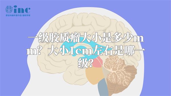 一级胶质瘤大小是多少mm？大小1cm左右是哪一级？