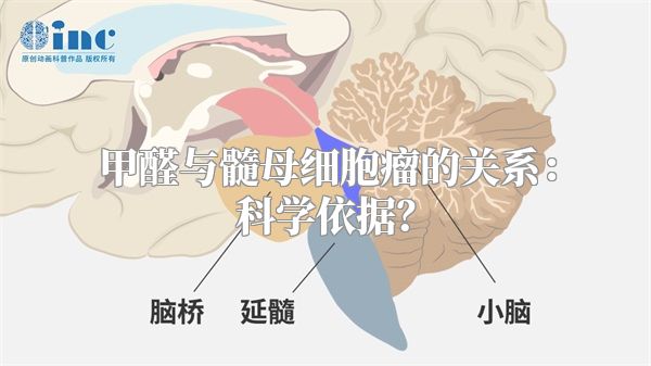 甲醛与髓母细胞瘤的关系：科学依据？