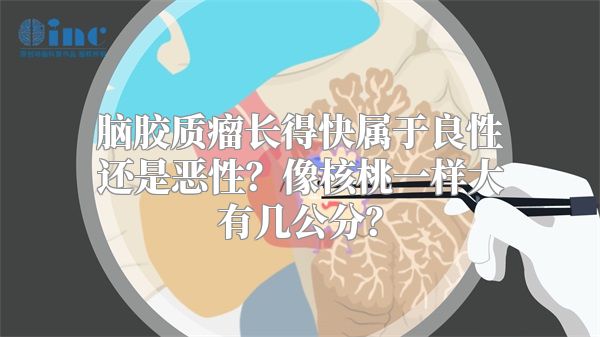 脑胶质瘤长得快属于良性还是恶性？像核桃一样大有几公分？