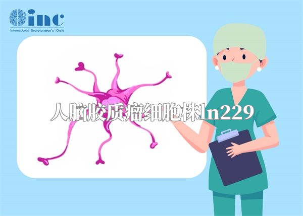 人脑胶质瘤细胞株ln229