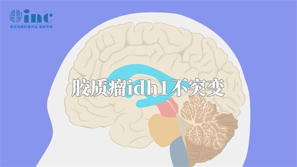 胶质瘤idh1不突变