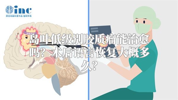 岛叶低级别胶质瘤能治愈吗？术后语言恢复大概多久？