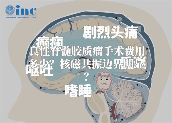 良性脊髓胶质瘤手术费用多少？核磁共振边界明显？