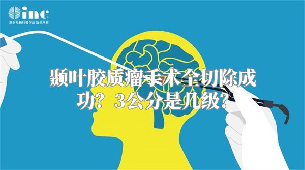 颞叶胶质瘤手术全切除成功？3公分是几级？