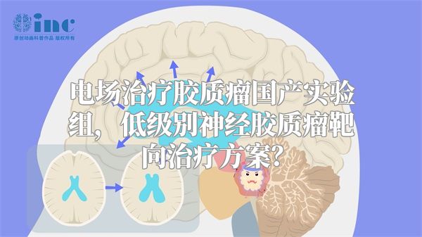 电场治疗胶质瘤国产实验组，低级别神经胶质瘤靶向治疗方案？