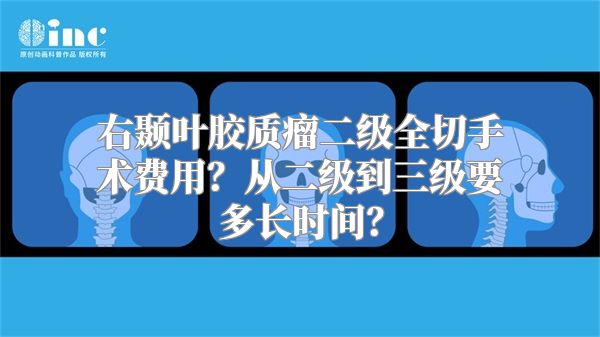 右颞叶胶质瘤二级全切手术费用？从二级到三级要多长时间？