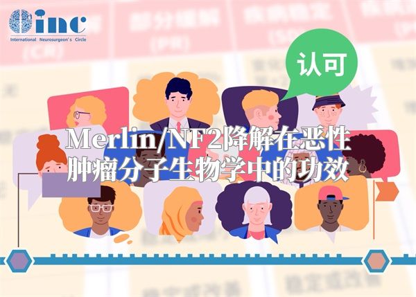 Merlin/NF2降解在恶性肿瘤分子生物学中的功效