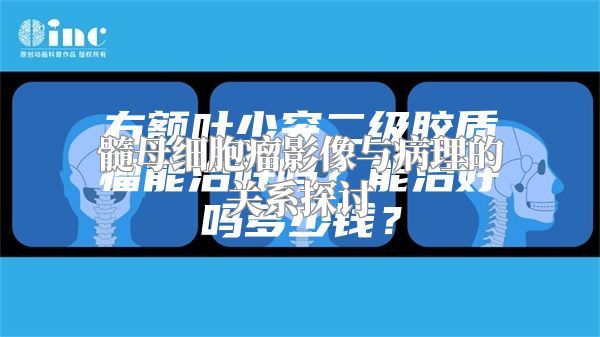 髓母细胞瘤影像与病理的关系探讨