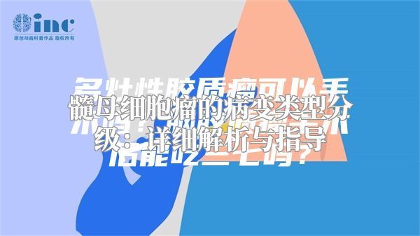 髓母细胞瘤的病变类型分级：详细解析与指导