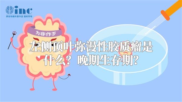 左侧顶叶弥漫性胶质瘤是什么？晚期生存期？