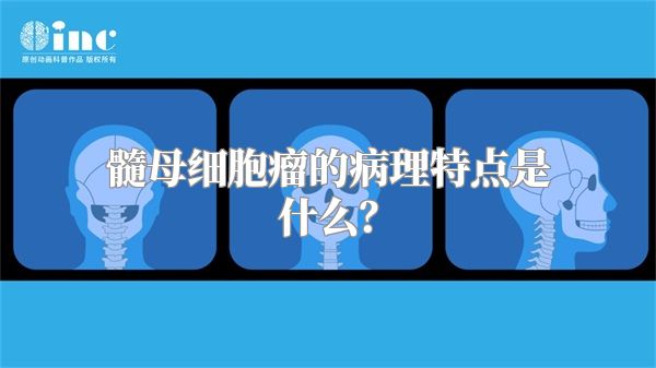 髓母细胞瘤的病理特点是什么？